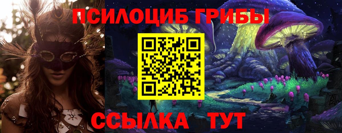 Галлюциногенные грибы прущие грибы  Галлюциногенные грибы Cubensis  Вход с VPN  Аша 